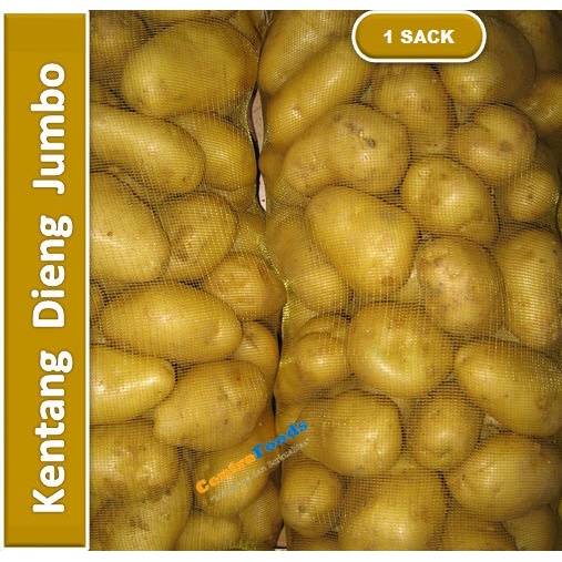 

Kentang Jumbo Dieng Fresh - Java Fresh | 10 Kg [ Harga Per SACK ]
