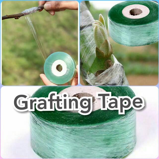 Grafting Tape Parafilm Isolasi Tanaman Sambung Tunas Tanaman