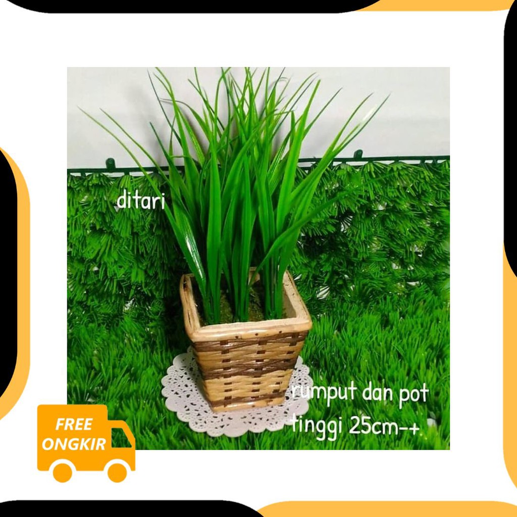  FREE ONGKIR Rumput dengan Pot  Vas Rotan  Artificial 