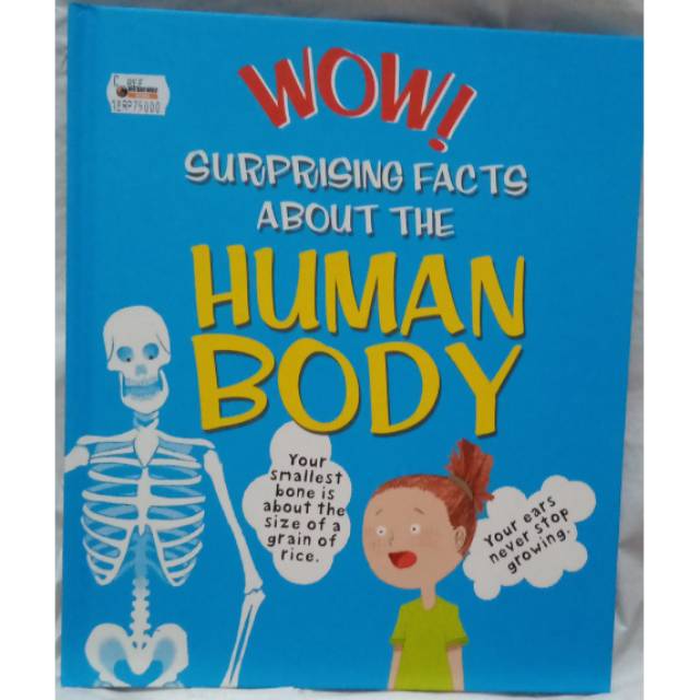 About The Human Body