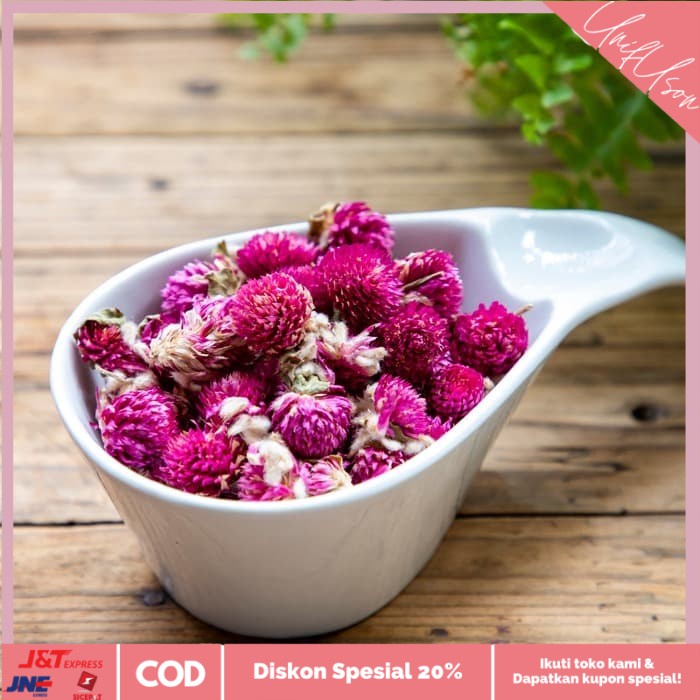 

⭐COD⭐ 1kg Amaranth Tea untuk batuk amaranth globe