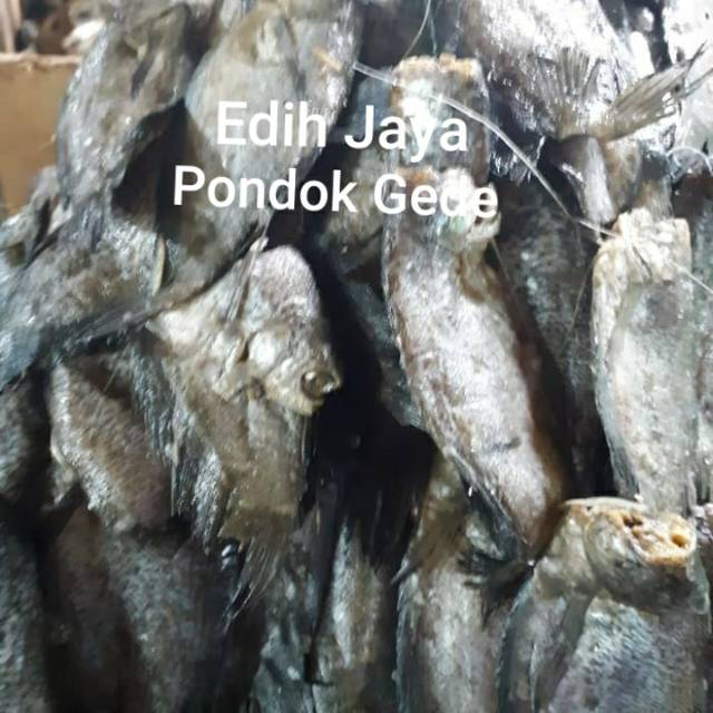 

Ikan Asin Sepat Besar Jumbo, Sepat Asin Besar Netto 250 Gram