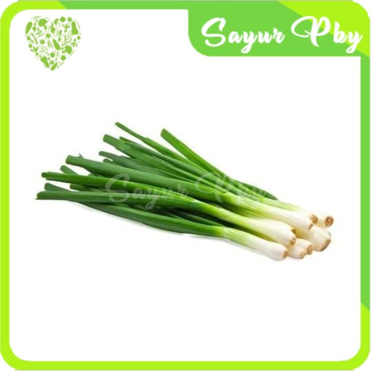 

Daun Bawang Besar 250 gr
