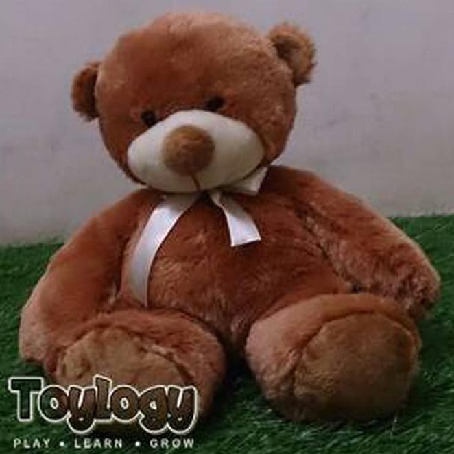 brown bear doll