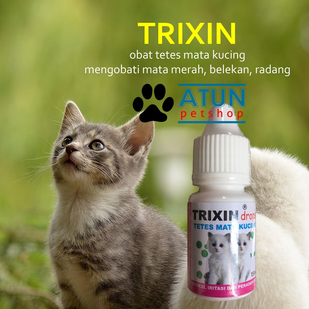 Obat Mata Kucing Trixin Atasi Iritasi Belekan Dan Hidung Meler