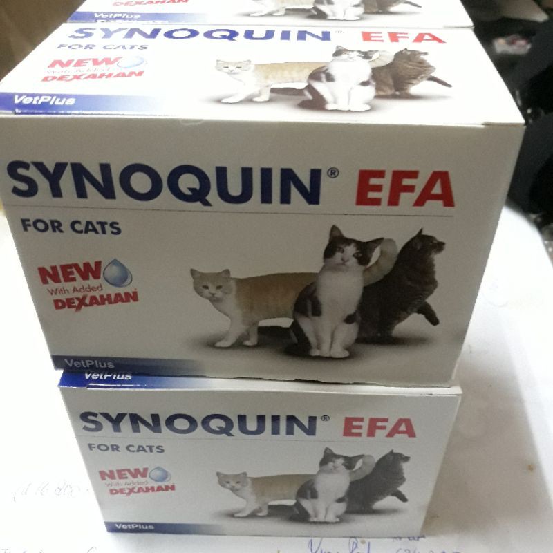 1 BOX (SYNOQUIN EFA) | Synoquin EFA Cat (90 Kapsul)| Suplemen Vitamin Kucing