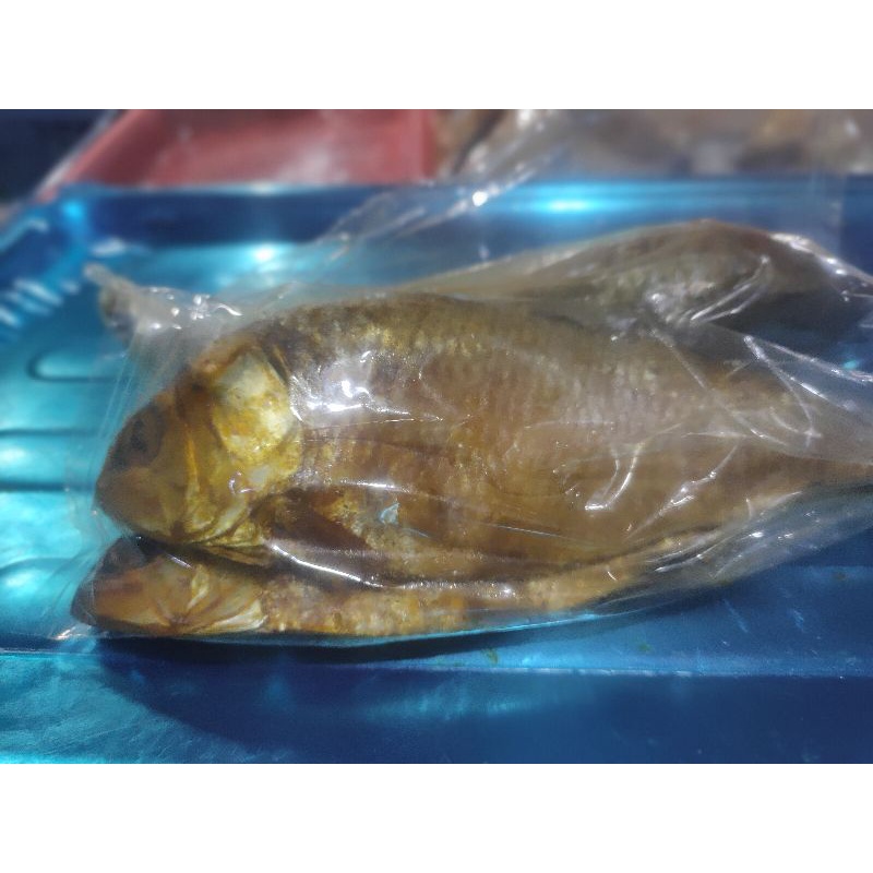 

Ikan Belo