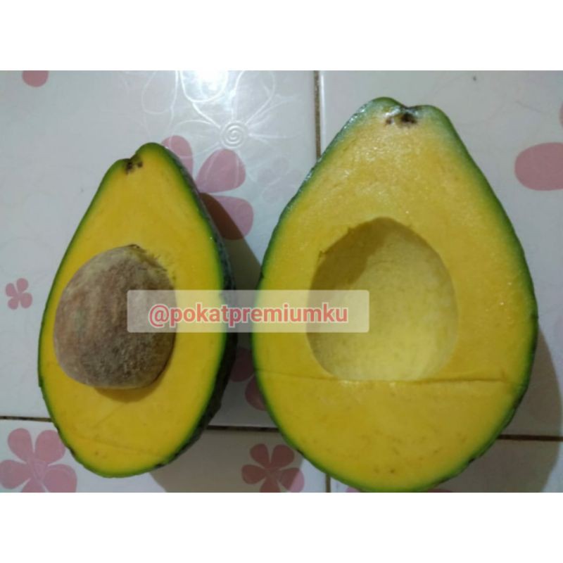 

Alpokat mentega Super Premium Linggau