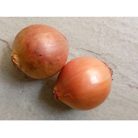 

Bawang Bombai