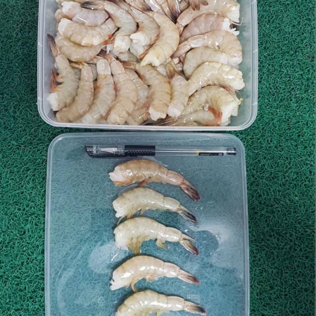 

UDANG PANAMI TANPA kEPALA 500 GRM size 40-60