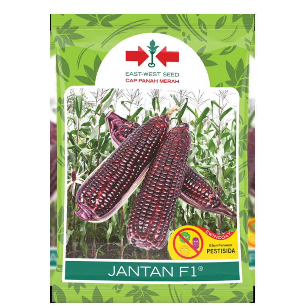 COD Cap Panah Merah / Benih Biji Bibit Jagung Ketan Itam JANTAN F1 250gr