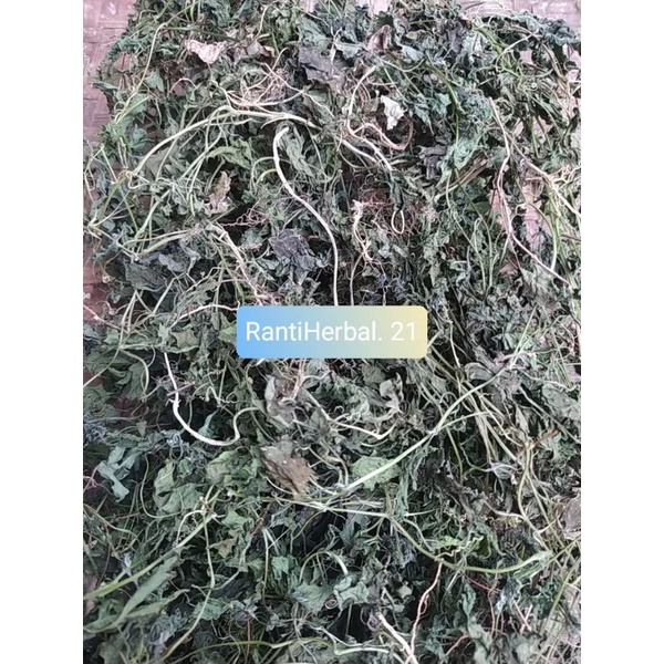 

daun pare hutan kualitas kering 100 gram