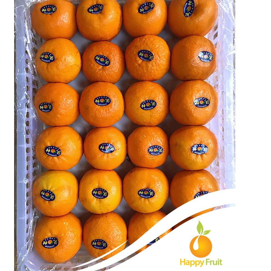 

ERM BUAH JERUK WOGAN WOKAM PREMIUM JERUK KUPAS IMPORT IMPOR 500 GRAM [HAPPY FRUIT] [kz -186]