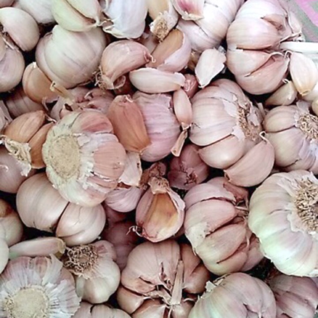 

BAWANG PUTIH BERSIH (GARLIC) 1 KG