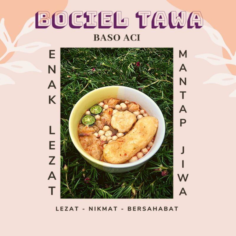 

bocil tawa