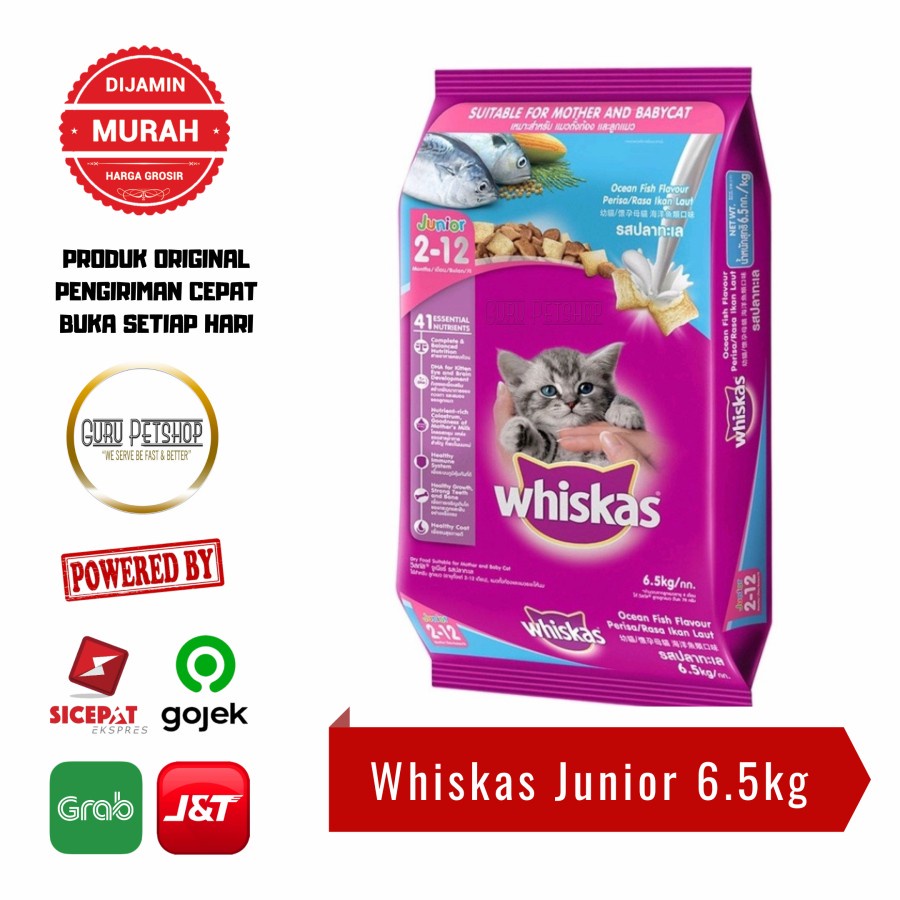 Whiskas Junior Ocean Fish 6.5kg Freshpack Makanan Kering Kucing Kitten