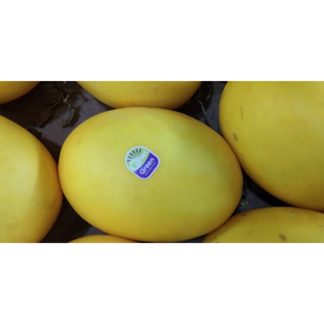 

BUAH SEGAR MELON SALMON