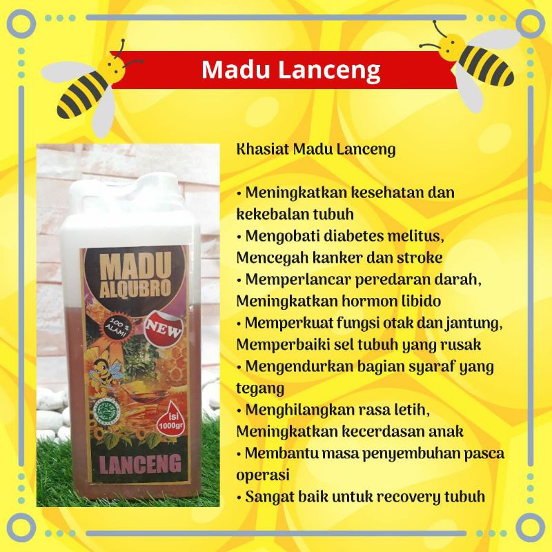 

MADU HERBAL AL QUBRO ORI /MADU LANCENG /MADU MULTIFLORA /MADU SUPER KELENGKENG / MADU SIALANG SUPER