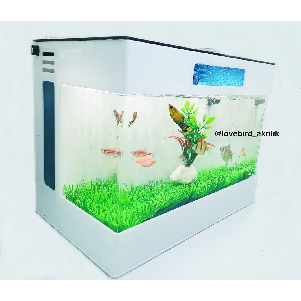 Aquarium Akrilik, Aquarium mini, Aquarium cupang, Aquarium ...