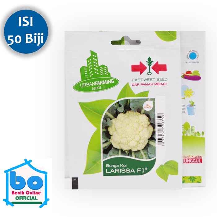 Benih Bunga Kol LARISSA F1 Cap Panah Merah
