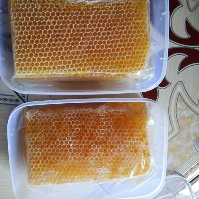 

Madu sarang / honey comb madu sarang asli TERUJI