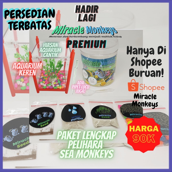 ✔ COD ✔ Miracle Monkeys Premium - Peliharaan Ajaib Sea Monkey