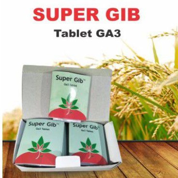 SUPERGIB / SUPER GIB GA3