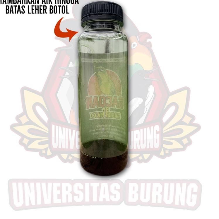 ⸨VoN♝⸩ ⭐️ DOPING PLECI GACOAN vitamin tambahan pleci cepat gacor ngalas |Ready.stock