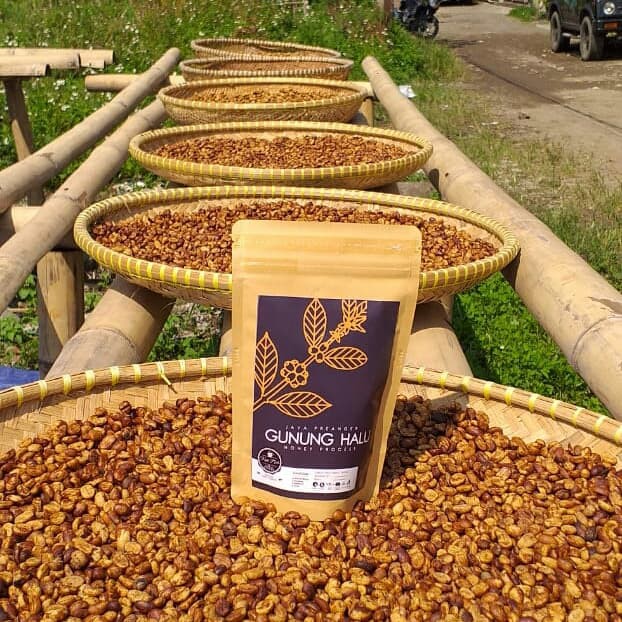 

Eksklusif Green Bean Honey HALU BANANA Terlaris