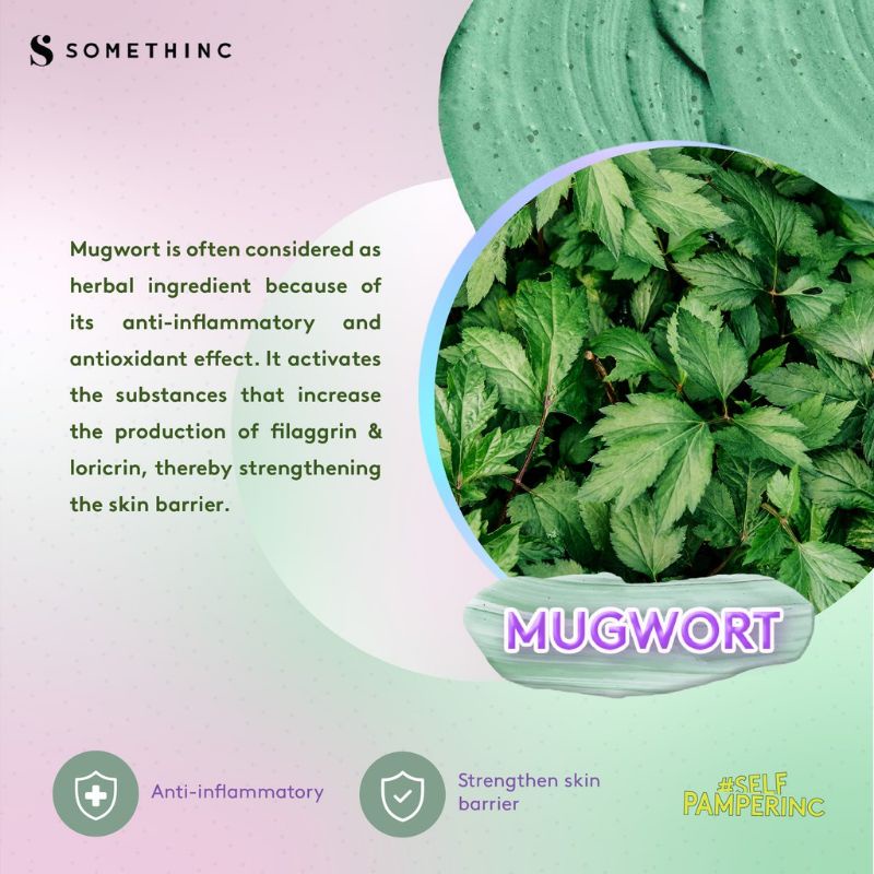 Somethinc Mugwortella Charcoal 60g