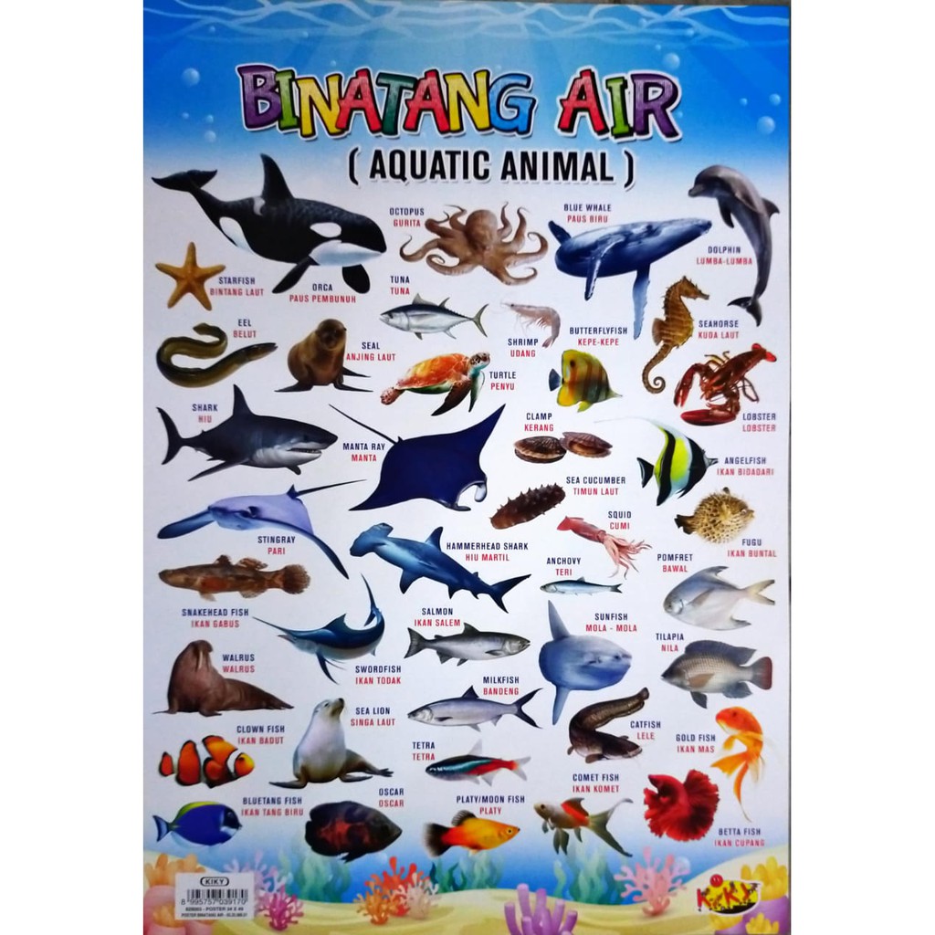 440+ Ambar Hewan Air HD