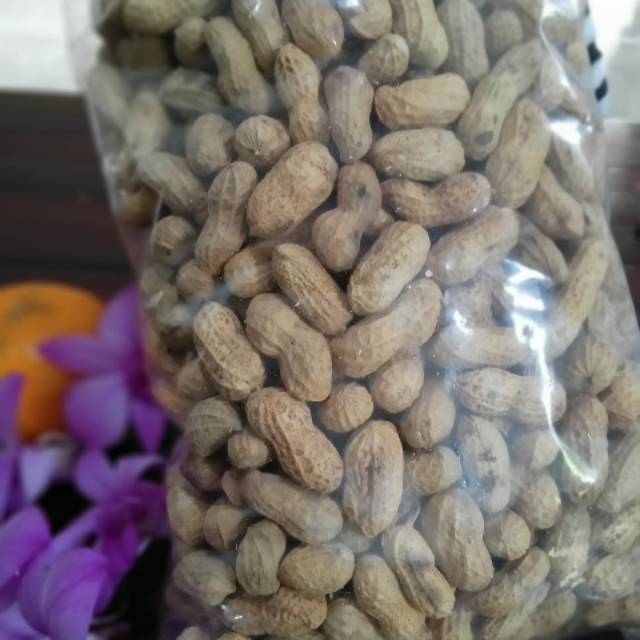 Kacang kulit goreng pasir