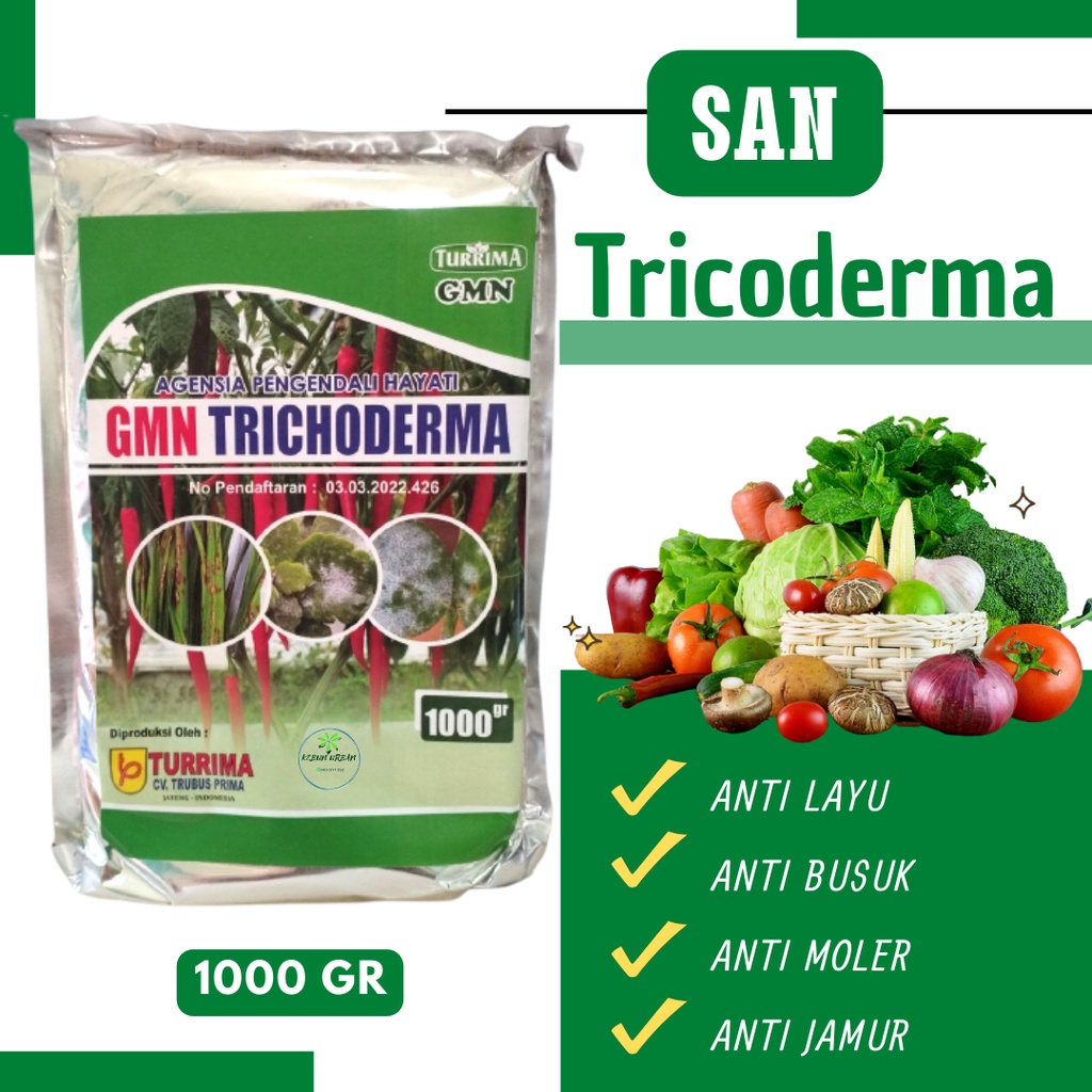 Tricoderma Pupuk Sawit Yang Bagus, GMN Trichoderma Agensia Pengendali Hayati, Pupuk Untuk Memperbany