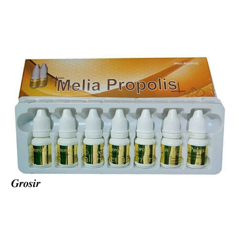 MELIA PROPOLIS & MELIA BIYANG
