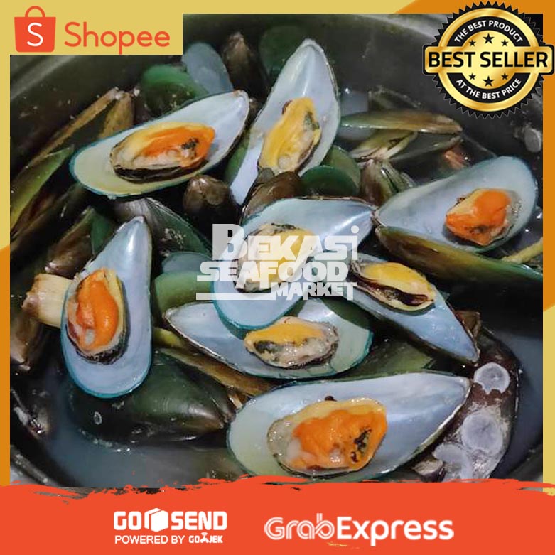 

Kerang Hijau Matang | Kerang Hijau Rebus Sudah Bersih Siap Makan / Olah