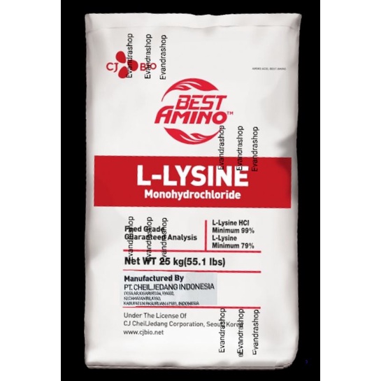 Lysine 1 kg Asam Amino Hewan Lisin