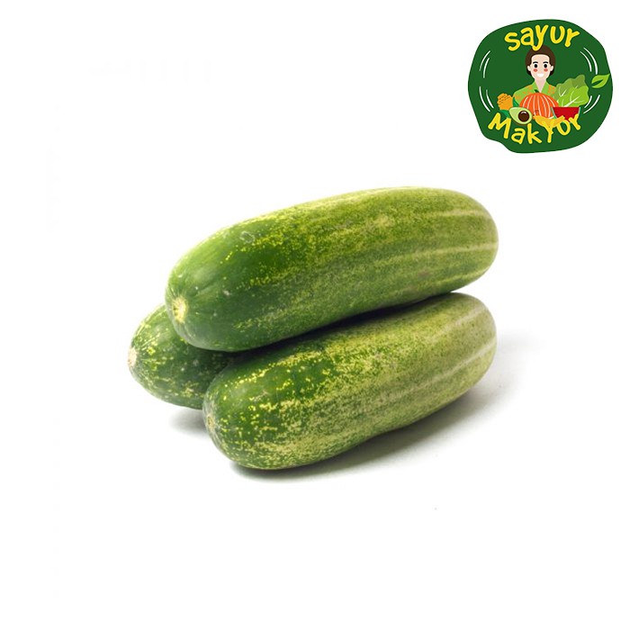 

Timun Ketimun Segar Lokal 500 gram | Sayur Mak Yur Medan | sayurmakyur