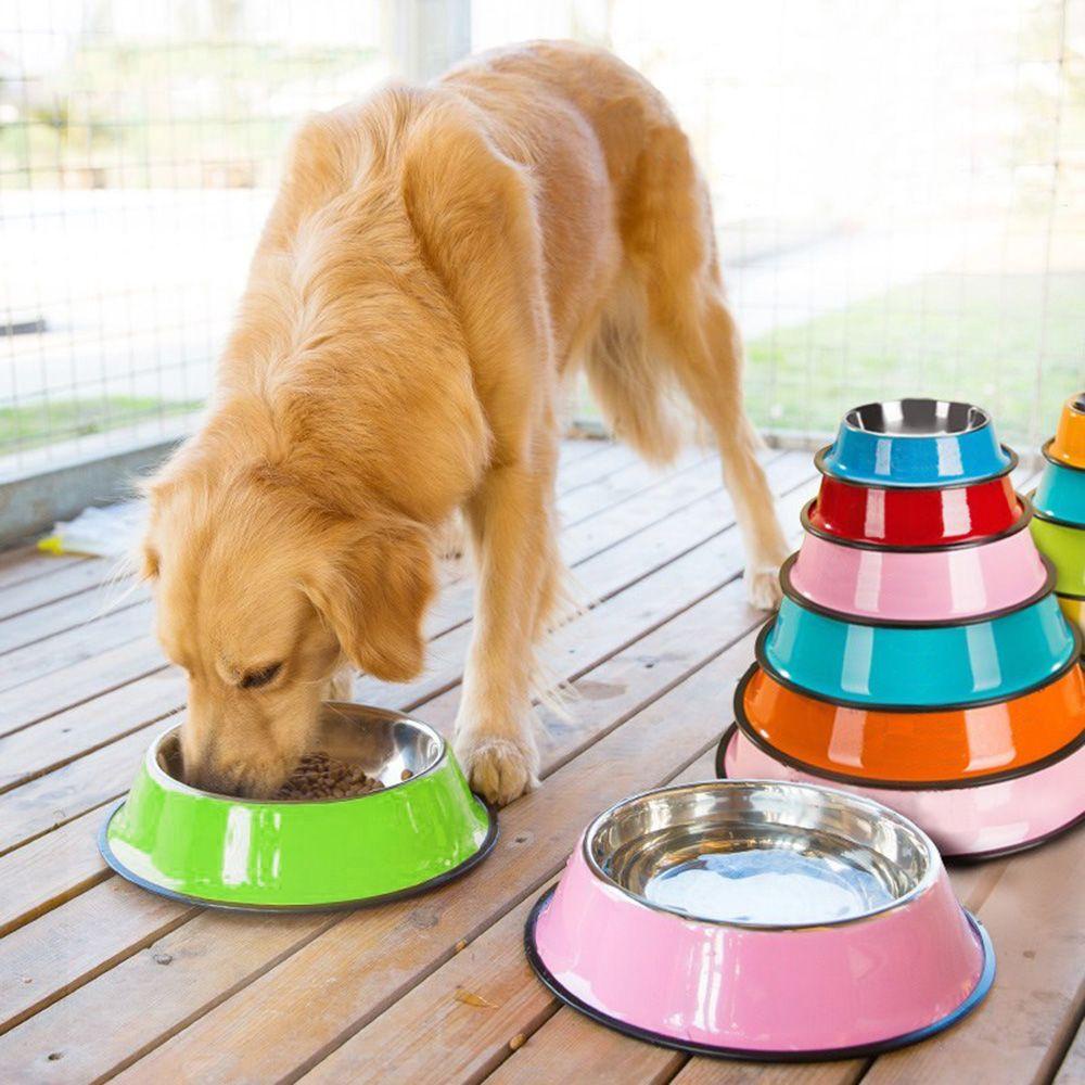 Solighter Pet Bowl Rumah Outdoor Perlengkapan Hewan Peliharaan Perjalanan Makan Anjing Kucing