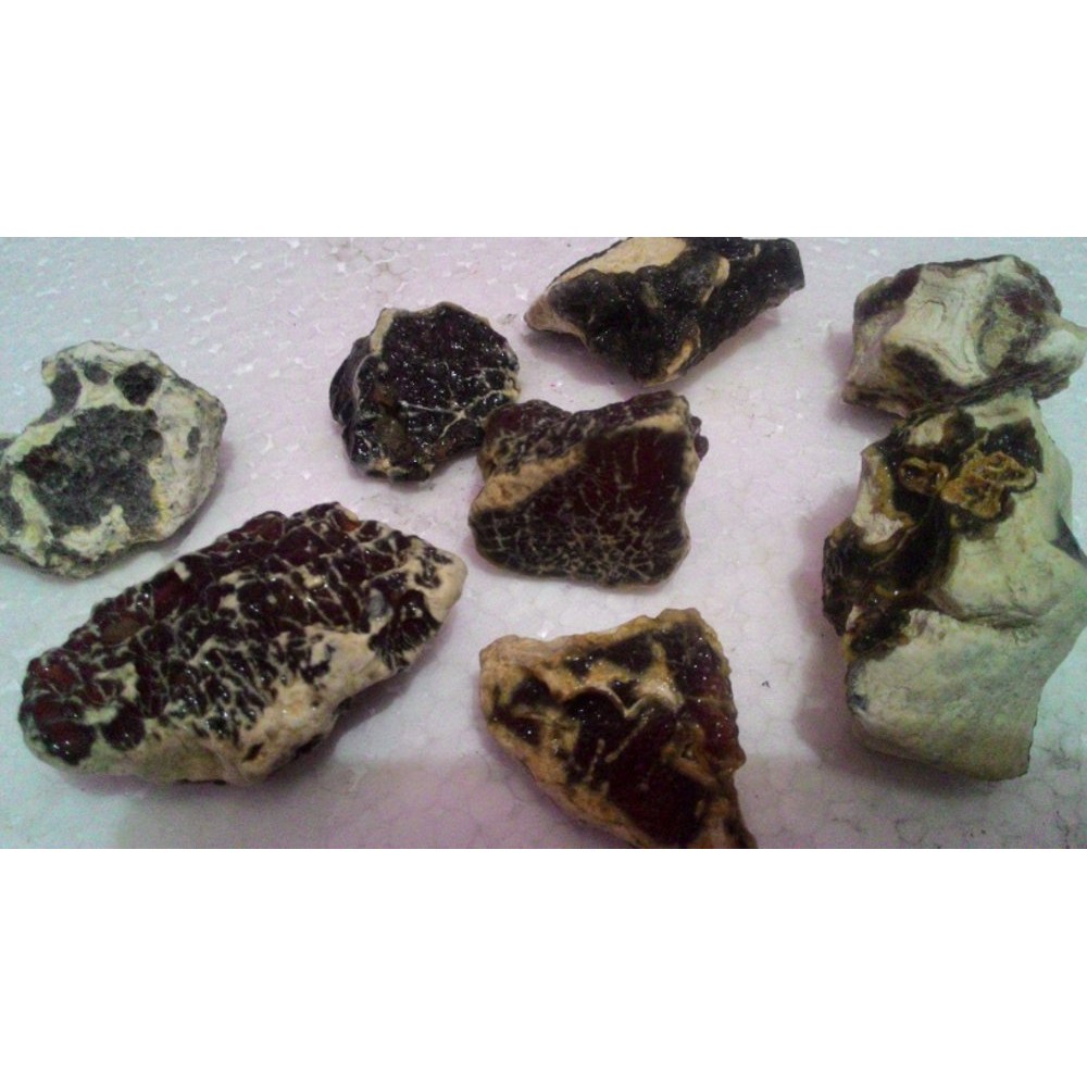 RAFFLESIA BENGKULU HQ HARGA GROSIR BAHAN / ROUGH