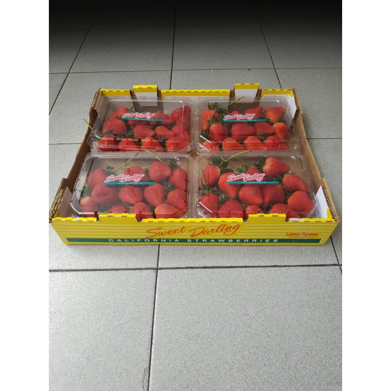 Buah Strawberry Sweet Darling USA 1 Dus(4 Pack) Fresh Import