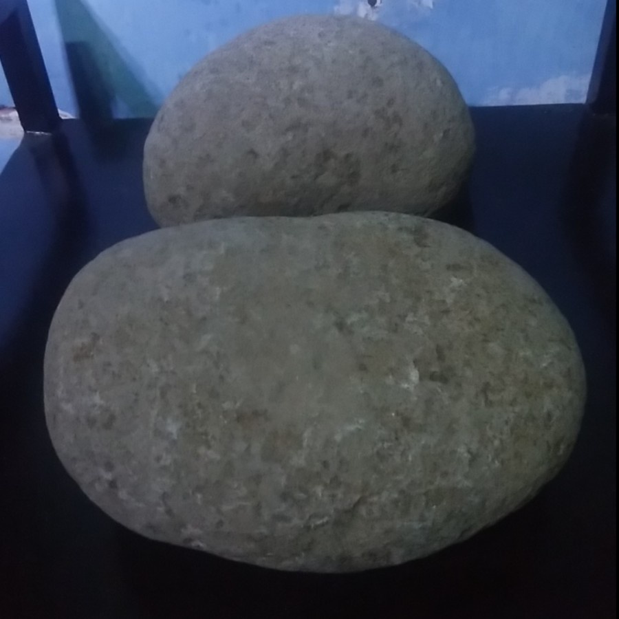 Batu kali jumbo asli dari sungai terbesar di bogor