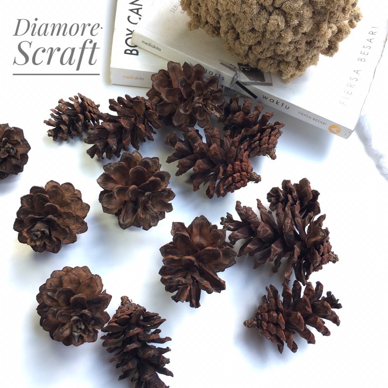 BUNGA PINUS KERING ALAMI BAHAN RUSTIK / BIJI PINUS MURAH