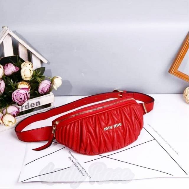 Bag Miu Miu LR