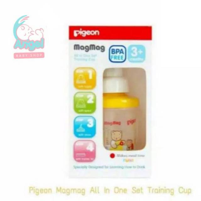 Pigeon MagMag All In One Set 4 Step 180ml/6oz