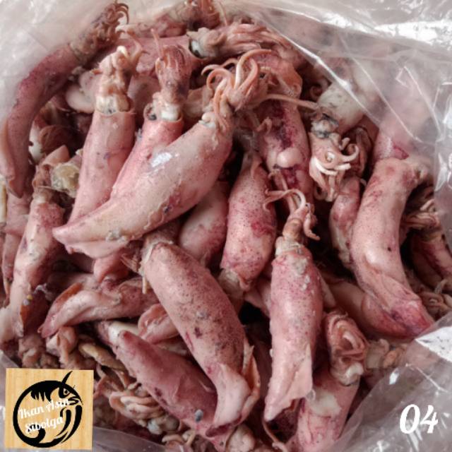 

IAS-04 | Cumi-cumi Kering @1 Kg