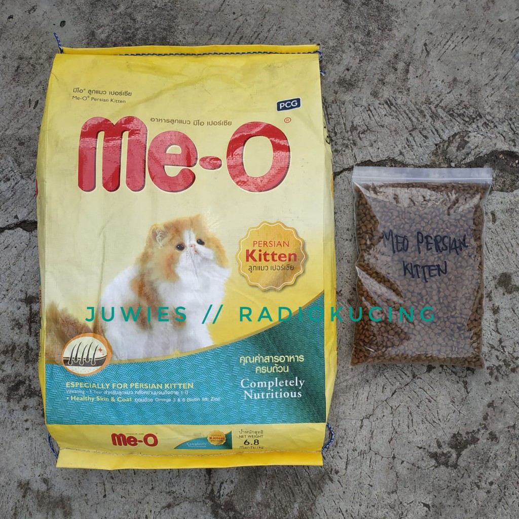 meo persian kitten food