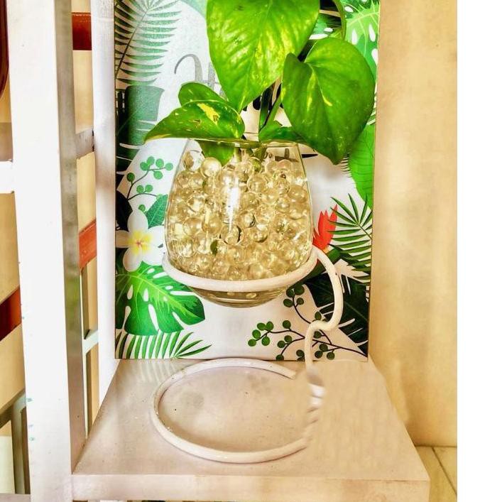TERLARIS PAKET VAS AQUARIUM MINI HIASAN MEJA KAMAR DEKORASI RUMAH TANAMAN CUPANG STANDING TERRARIUM 