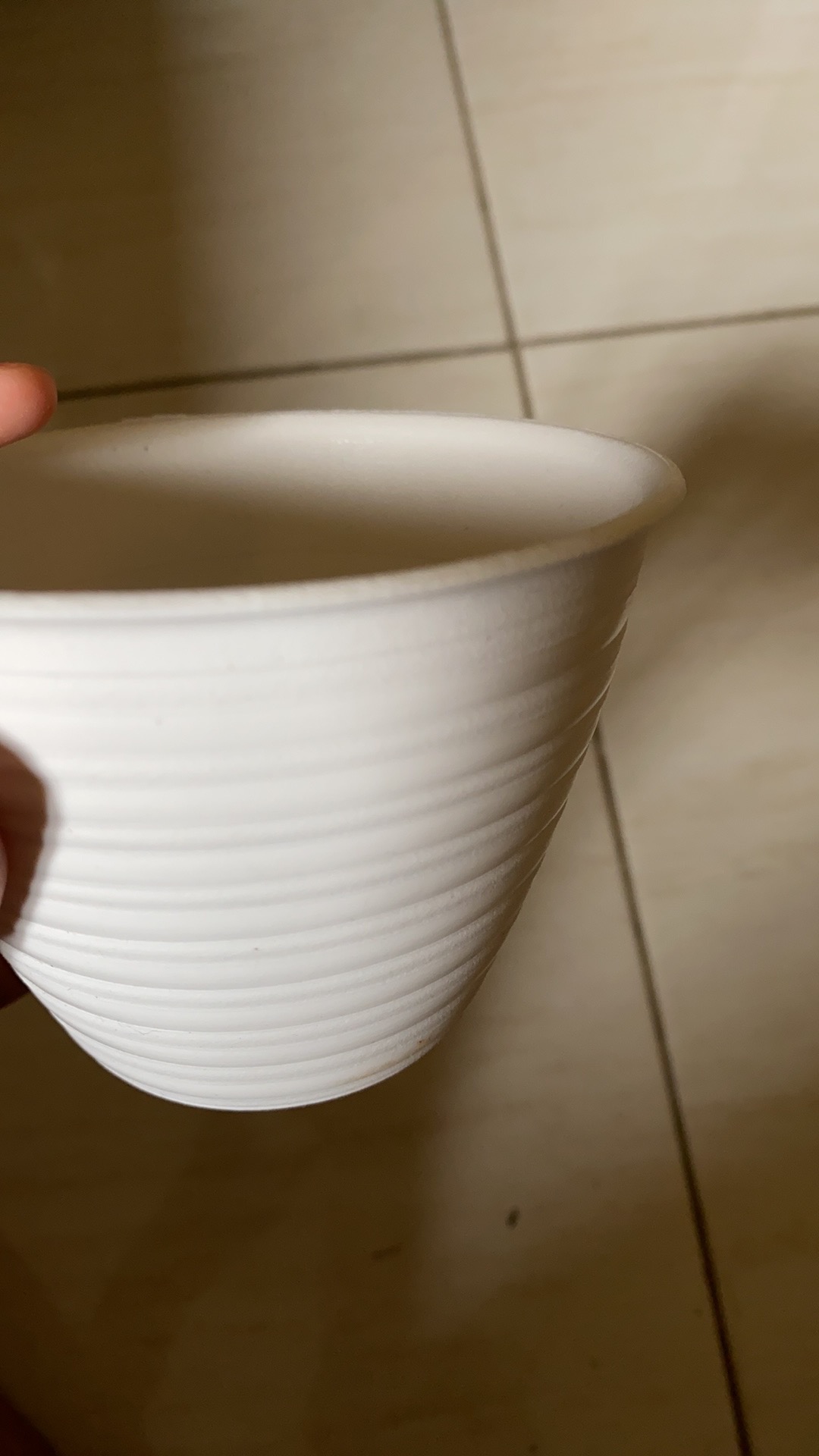 Pot Bunga Tawon Putih 10cm