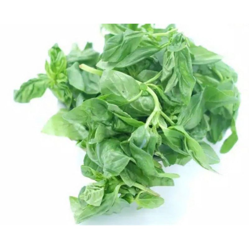

Daun Basil 100g
