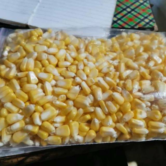 

JAGUNG MANIS PIPIL JASUKE